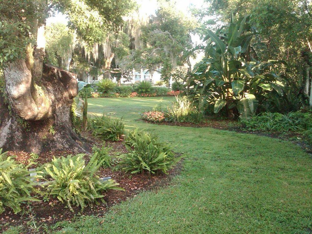 Lakeside Inn On Lake Dora Mount Dora Ngoại thất bức ảnh